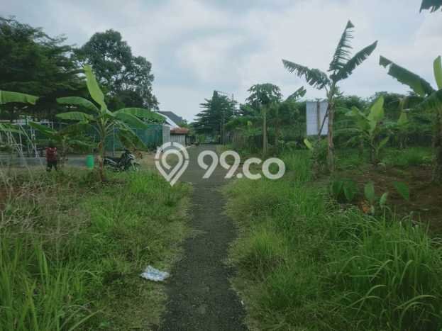 Jarang Ada! Tanah di Bogor Tengah Punya Luas 930m2 SHM Jarang Ada! Tanah di Bogor Tengah Punya Luas 930m2 SHM