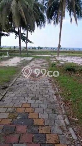 Tanah Dijual di Pandeglang Seluas 3613m2 Strategis Tanah Dijual di Pandeglang Seluas 3613m2 Strategis