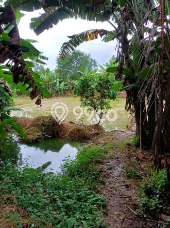 Untuk Dijual Tanah di Tenjo Bogor Luas 31000m2 SHM Untuk Dijual Tanah di Tenjo Bogor Luas 31000m2 SHM