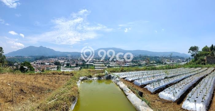 Tanah Dijual Area Strategis di Lembang Bandung 20000m2 Tanah Dijual Area Strategis di Lembang Bandung 20000m2