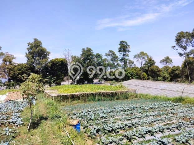 Tanah Dijual Area Strategis di Lembang Bandung 20000m2 Tanah Dijual Area Strategis di Lembang Bandung 20000m2