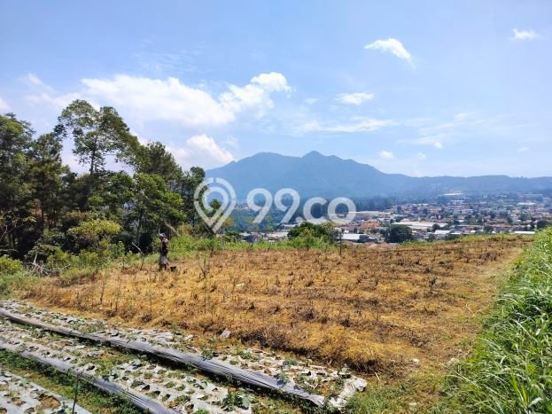 Tanah Dijual Area Strategis di Lembang Bandung 20000m2 Tanah Dijual Area Strategis di Lembang Bandung 20000m2