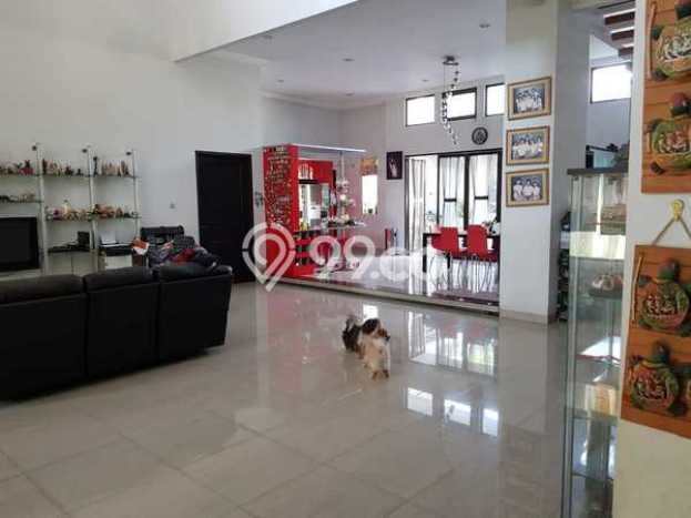 For Sale! Luxury House LT 778m2 Desain Elegan di Alam Sutera For Sale! Luxury House LT 778m2 Desain Elegan di Alam Sutera