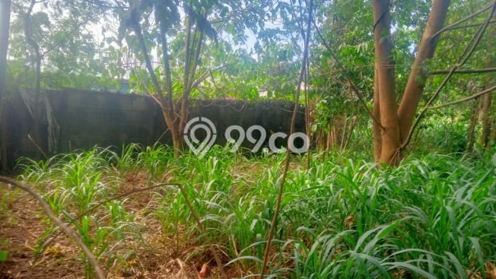 Lahan untuk Dijual di Serpong Tangerang Selatan Luas 2900m2 Lahan untuk Dijual di Serpong Tangerang Selatan Luas 2900m2