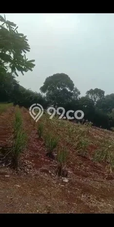 Tanah Kavling untuk Dijual di Pamulang Tangerang Selatan 550000m2 Tanah Kavling untuk Dijual di Pamulang Tangerang Selatan 550000m2