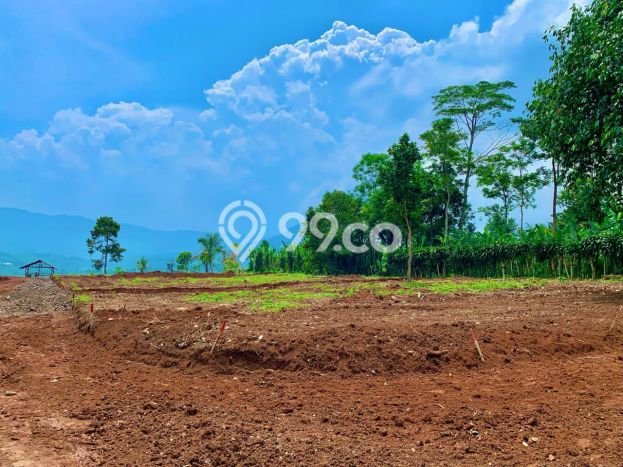 Tanah Dijual Lokasi Bogor Barat, Bogor Luas 100m2 Legalitas Aman Tanah Dijual Lokasi Bogor Barat, Bogor Luas 100m2 Legalitas Aman