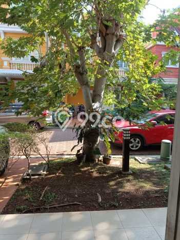Disewakan Rumah Harga Terjangkau di Gading Serpong Tangerang Punya 2 Kamar Tidur Disewakan Rumah Harga Terjangkau di Gading Serpong Tangerang Punya 2 Kamar Tidur