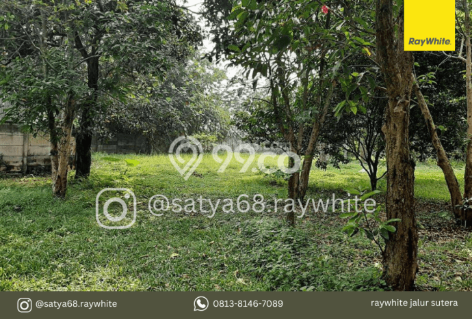 Kavling Tanah Dijual di Gunung Sindur Bogor Spesifikasi 3200m2 Kavling Tanah Dijual di Gunung Sindur Bogor Spesifikasi 3200m2