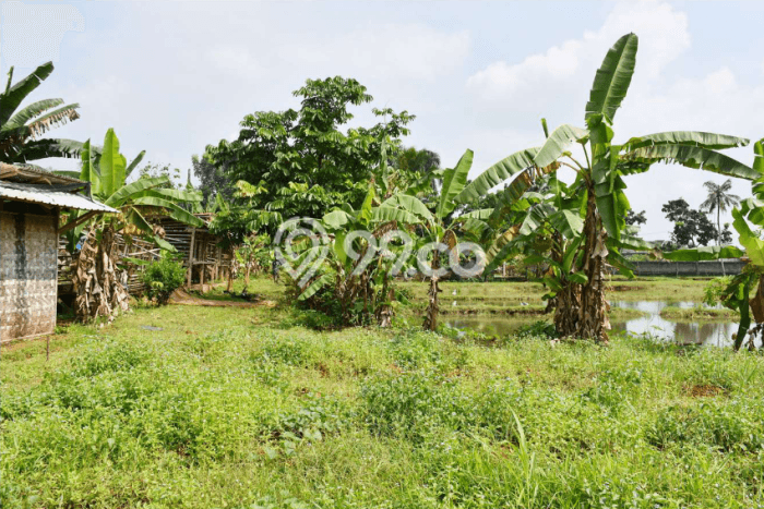 Dijual Tanah di Gunung Sindur Bogor Luas 9117m2 SHM Dijual Tanah di Gunung Sindur Bogor Luas 9117m2 SHM