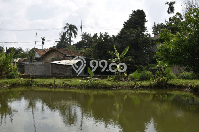 Dijual Tanah di Gunung Sindur Bogor Luas 9117m2 SHM Dijual Tanah di Gunung Sindur Bogor Luas 9117m2 SHM