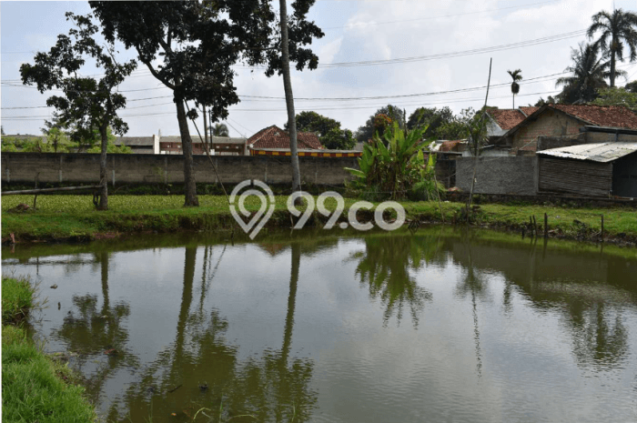 Dijual Tanah di Gunung Sindur Bogor Luas 9117m2 SHM Dijual Tanah di Gunung Sindur Bogor Luas 9117m2 SHM