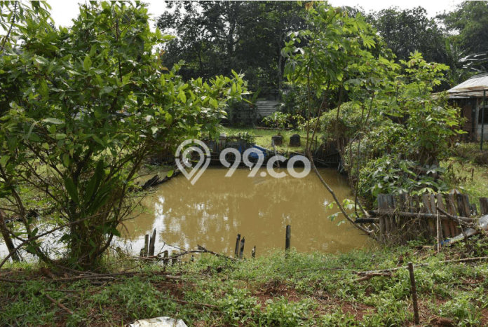 Dijual Tanah di Gunung Sindur Bogor Luas 9117m2 SHM Dijual Tanah di Gunung Sindur Bogor Luas 9117m2 SHM