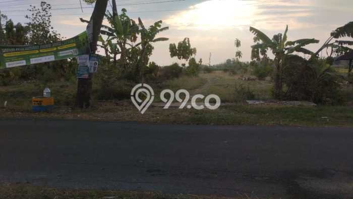 Tanah di Nogosari, Boyolali Luas 6300m2 Dijual Segera Tanah di Nogosari, Boyolali Luas 6300m2 Dijual Segera