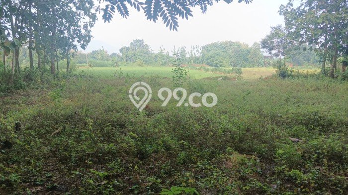 Tanah Dijual Lokasi Nogosari, Boyolali Luas 5000m2 Legalitas Aman Tanah Dijual Lokasi Nogosari, Boyolali Luas 5000m2 Legalitas Aman