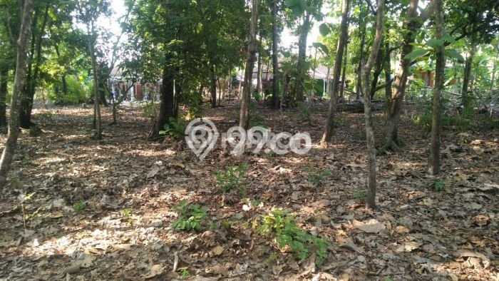 Jarang Ada! Tanah di Ngemplak Punya Luas 4500m2 SHM Jarang Ada! Tanah di Ngemplak Punya Luas 4500m2 SHM