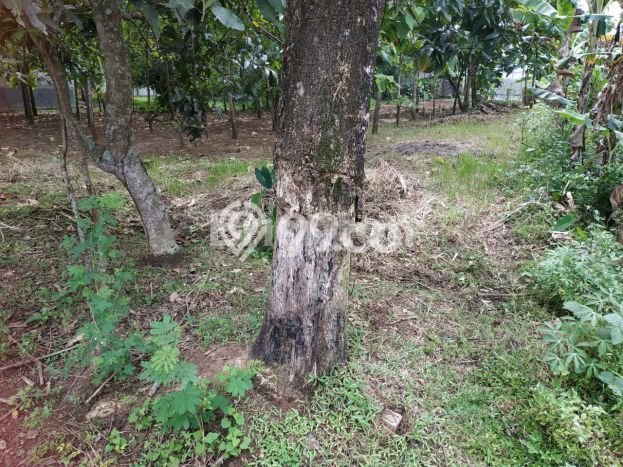 Tanah Komersial Dijual di Bendosari Sukoharjo 372m2 Tanah Komersial Dijual di Bendosari Sukoharjo 372m2