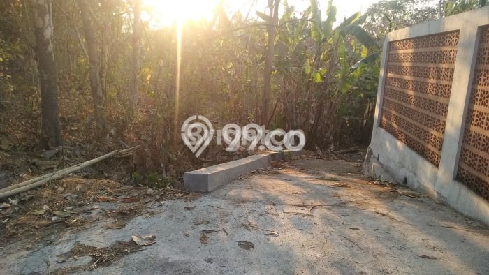 Rumah Murah Dijual Area Gondangrejo, Karanganyar Harga Rp 235 Juta Rumah Murah Dijual Area Gondangrejo, Karanganyar Harga Rp 235 Juta