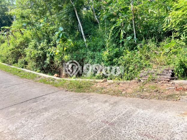 Jarang Ada! Tanah di Sambirejo Punya Luas 1857m2 SHM Jarang Ada! Tanah di Sambirejo Punya Luas 1857m2 SHM