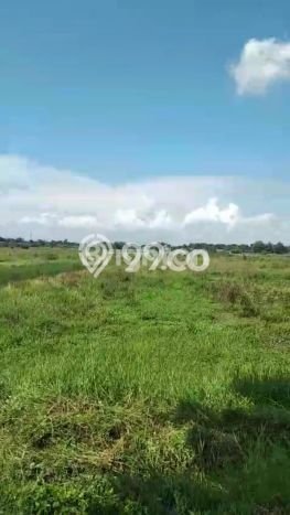 Tanah Kosong Dijual di Sukoharjo dengan Area 6800m2 Tanah Kosong Dijual di Sukoharjo dengan Area 6800m2