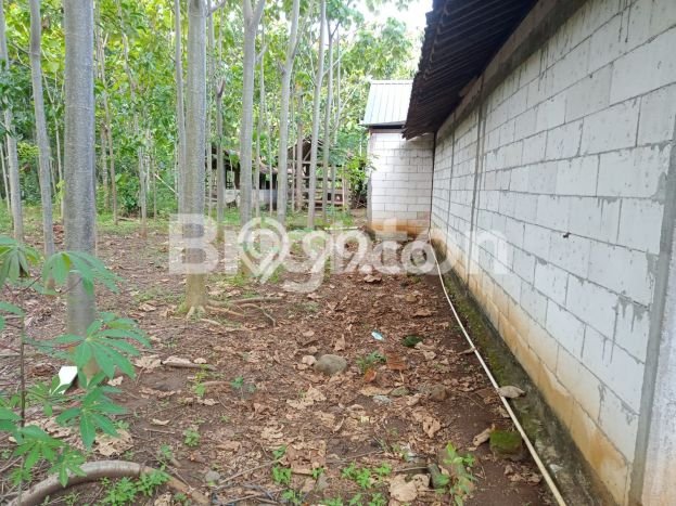 Dijual Rumah 2 Kamar Lokasi Ideal Bagus dan Strategis di Nguter Dijual Rumah 2 Kamar Lokasi Ideal Bagus dan Strategis di Nguter