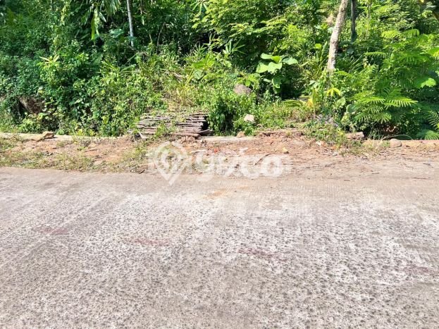 Tanah Kavling di Sambirejo Dijual dengan Luas 1857m2 Tanah Kavling di Sambirejo Dijual dengan Luas 1857m2