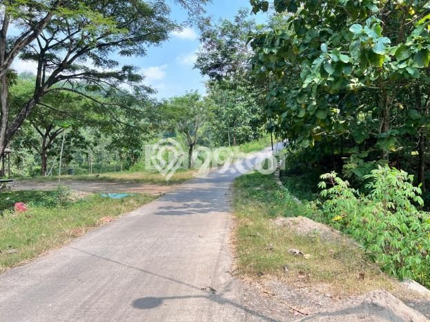 Tanah Kavling di Sambirejo Dijual dengan Luas 1857m2 Tanah Kavling di Sambirejo Dijual dengan Luas 1857m2