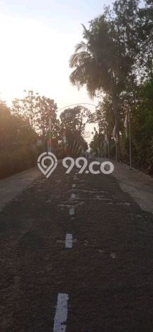 Jarang Ada! Tanah di Nogosari Punya Luas 1200m2 SHM Jarang Ada! Tanah di Nogosari Punya Luas 1200m2 SHM