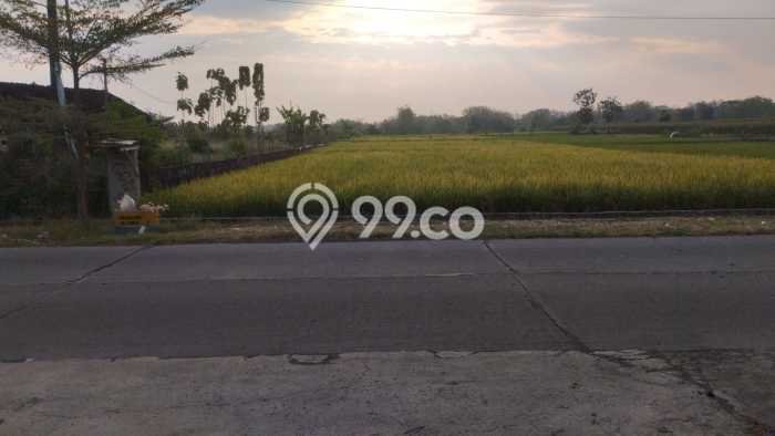 Tanah di Nogosari, Boyolali Luas 6300m2 Dijual Segera Tanah di Nogosari, Boyolali Luas 6300m2 Dijual Segera