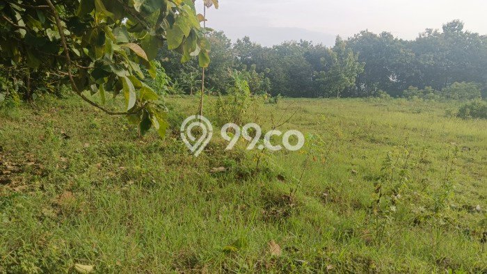 Tanah Dijual Lokasi Nogosari, Boyolali Luas 5000m2 Legalitas Aman Tanah Dijual Lokasi Nogosari, Boyolali Luas 5000m2 Legalitas Aman