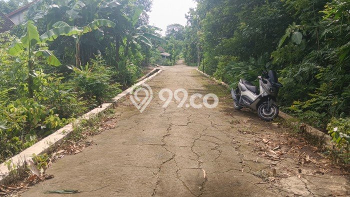 Lahan Dijual Lokasi Sambi, Boyolali dengan Luas Tanah 1800m2 dan Status SHM Lahan Dijual Lokasi Sambi, Boyolali dengan Luas Tanah 1800m2 dan Status SHM