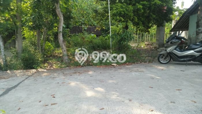 Tanah Dijual Lokasi Ngemplak, Boyolali dengan Luas Tanah 3800m2 dan Status SHM Tanah Dijual Lokasi Ngemplak, Boyolali dengan Luas Tanah 3800m2 dan Status SHM