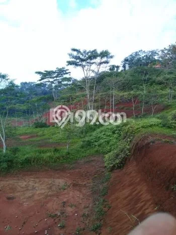Untuk Dijual Tanah di Kawali Ciamis Luas 151600m2 SHM Untuk Dijual Tanah di Kawali Ciamis Luas 151600m2 SHM