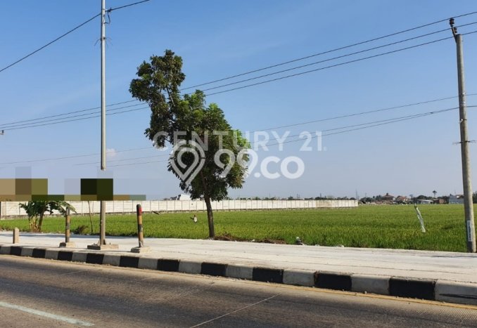 Tanah Kosong Dijual di Karawang dengan Area 57508m2 Tanah Kosong Dijual di Karawang dengan Area 57508m2