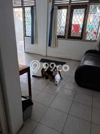 Rumah Luxury Modern Tanpa Renovasi di Kartini Jakarta Pusat Rumah Luxury Modern Tanpa Renovasi di Kartini Jakarta Pusat