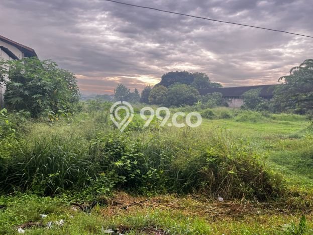 Tanah Dijual Lokasi Ceper, Klaten Luas 7200m2 Legalitas Aman Tanah Dijual Lokasi Ceper, Klaten Luas 7200m2 Legalitas Aman