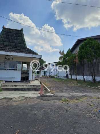 Unit Gudang Strategis di Tambakaji, Semarang Potensi Cuan Besar Unit Gudang Strategis di Tambakaji, Semarang Potensi Cuan Besar