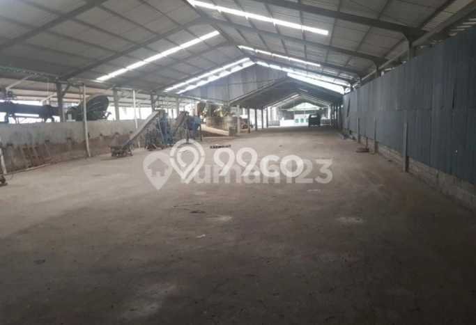 Pabrik Disewakan Lokasi Jumantono Karanganyar Harga Spesial! Pabrik Disewakan Lokasi Jumantono Karanganyar Harga Spesial!