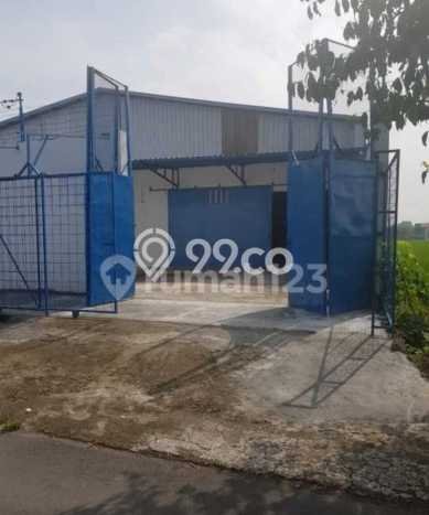 Gudang Disewakan Lokasi Jaten Karanganyar Harga Spesial! Gudang Disewakan Lokasi Jaten Karanganyar Harga Spesial!