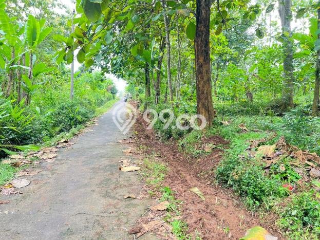 Lahan untuk Dijual di Mojogedang Karanganyar Luas 1218m2 Lahan untuk Dijual di Mojogedang Karanganyar Luas 1218m2