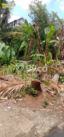 Dijual Tanah Lokasi Rorotan, Jakarta Utara Seluas 360m2 Dijual Tanah Lokasi Rorotan, Jakarta Utara Seluas 360m2