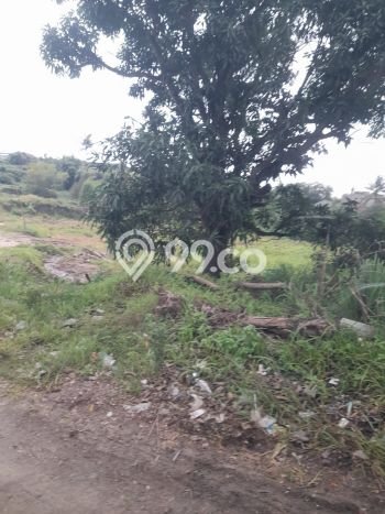Tanah di Cilegon Indah, Luas 15682m², Sertifikat Hak Milik, Akses Cilegon Indah, Cilegon, Cilegon Tanah di Cilegon Indah, Luas 15682m², Sertifikat Hak Milik, Akses Cilegon Indah, Cilegon, Cilegon