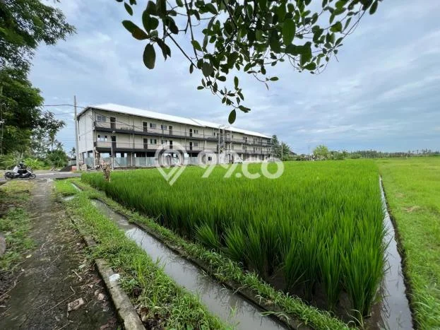 Tanah untuk Dijual di Pangkutibah Tabanan Luas 3800m2 Tanah untuk Dijual di Pangkutibah Tabanan Luas 3800m2