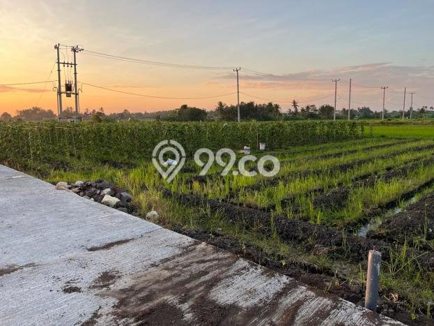 Tanah Dijual di Tabanan Seluas 500m2 Strategis Tanah Dijual di Tabanan Seluas 500m2 Strategis
