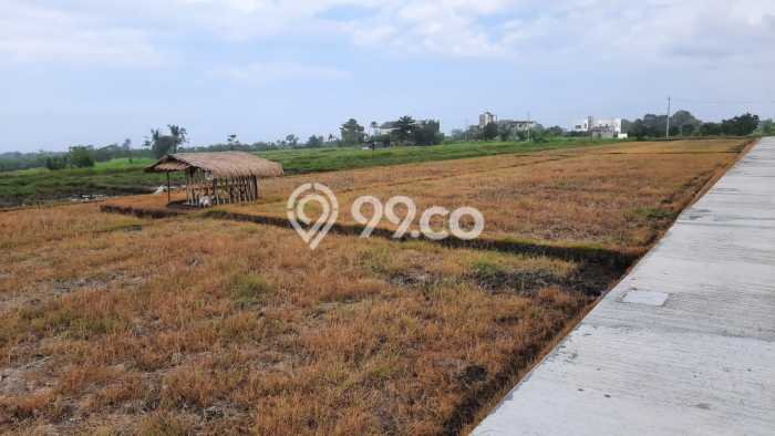 Untuk Dijual Tanah 1000m2 di Tanah Lot, Tabanan Untuk Dijual Tanah 1000m2 di Tanah Lot, Tabanan