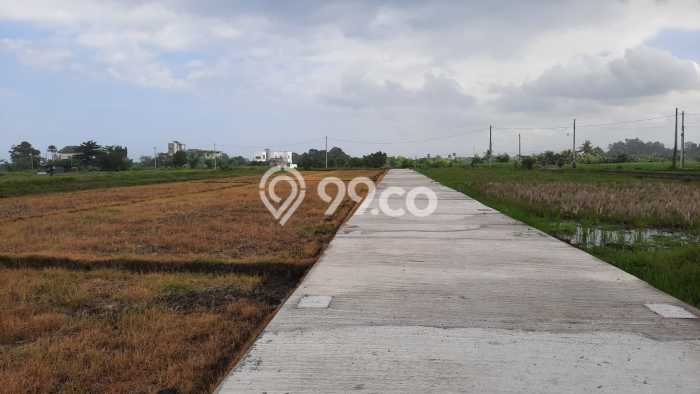 Untuk Dijual Tanah 1000m2 di Tanah Lot, Tabanan Untuk Dijual Tanah 1000m2 di Tanah Lot, Tabanan
