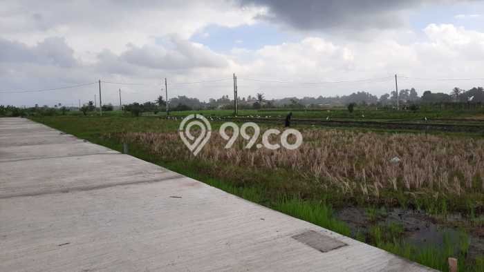 Untuk Dijual Tanah 1000m2 di Tanah Lot, Tabanan Untuk Dijual Tanah 1000m2 di Tanah Lot, Tabanan