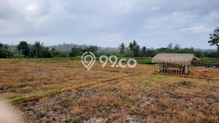 Untuk Dijual Tanah 1000m2 di Tanah Lot, Tabanan Untuk Dijual Tanah 1000m2 di Tanah Lot, Tabanan