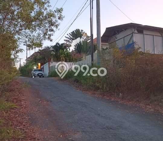 Tanah Siap Bangun Dijual di Badung Punya Luas 2000m2 Tanah Siap Bangun Dijual di Badung Punya Luas 2000m2