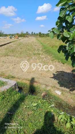 Dijual Tanah di Tabanan, Luas 1500m2 SHM Dijual Tanah di Tabanan, Luas 1500m2 SHM