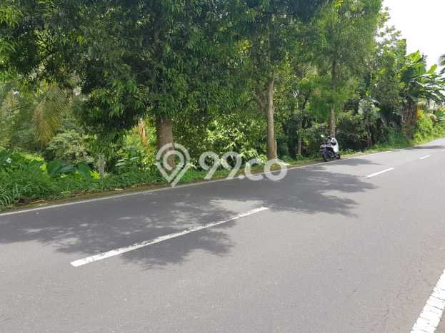 Tanah Dijual di Gianyar Seluas 15100m2 Strategis Tanah Dijual di Gianyar Seluas 15100m2 Strategis